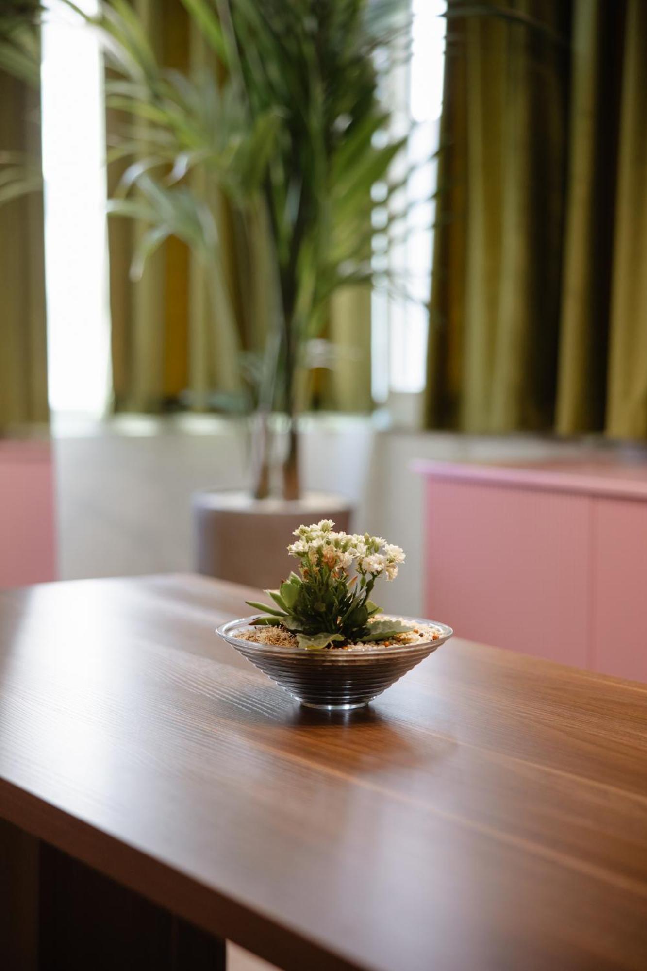 שקודר Corner Hostel מראה חיצוני תמונה